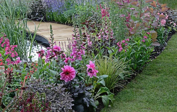 A colourful pink flower border with Foxgloves and Dahlia around decking and a garden pond