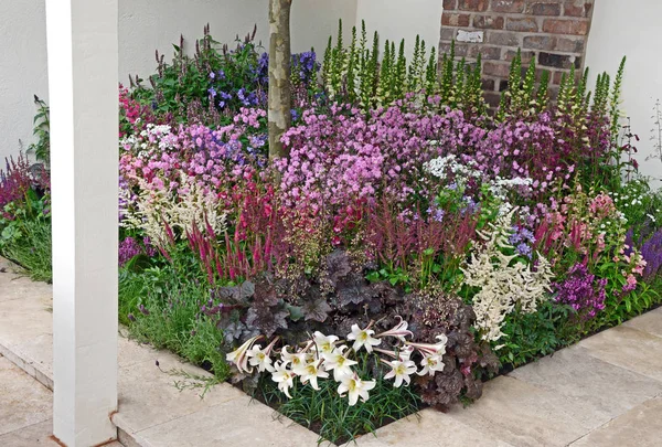 Uma borda de flor mista cheia e colorida em um pátio de um jardim contemporâneo — Fotografia de Stock