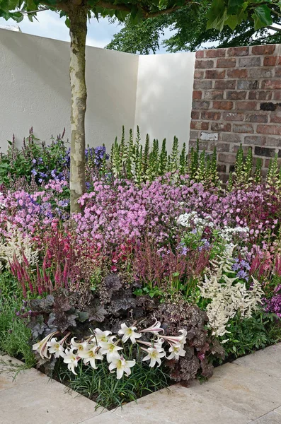 Un borde de flores mixtas lleno de color en un patio de un jardín contemporáneo — Foto de Stock