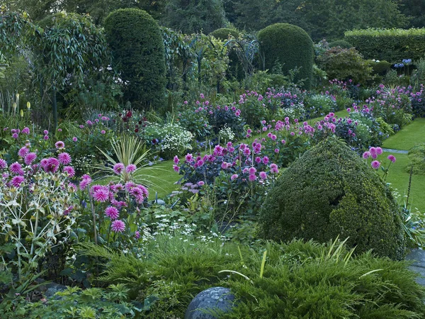 Un colorido borde de flores hundidas de Dahlias incluyendo Dahlia 'Fascinación' en un jardín de verano —  Fotos de Stock