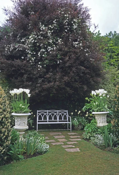 Exhibición del tulipán en el jardín blanco de una casa de campo —  Fotos de Stock