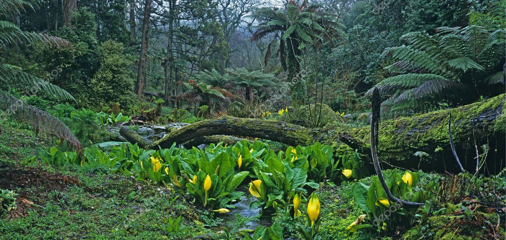 gardenguru