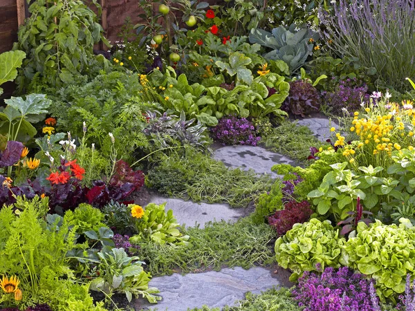 Colorido jardín de flores y verduras con selección de plantas y verduras — Foto de Stock