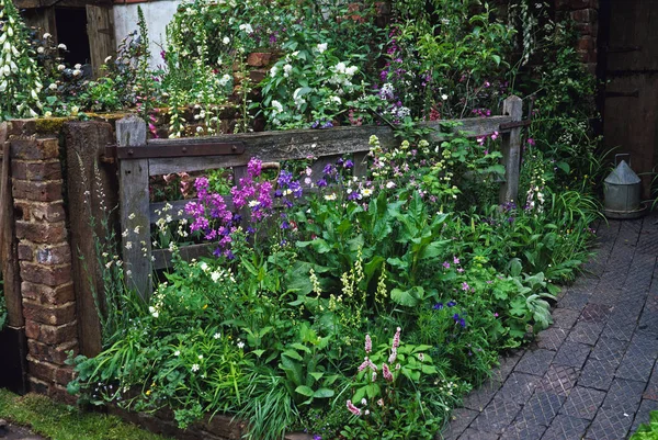 Ferme "The Old Gate" jardin fleuri coloré naturel — Photo