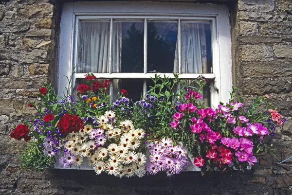 Colourful flowers displayed in window box on an old stone cottage — Stock Photo, Image