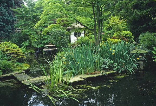 Jardín acuático tradicional japonés con escalones, casa de verano, iris y plantas acuáticas —  Fotos de Stock