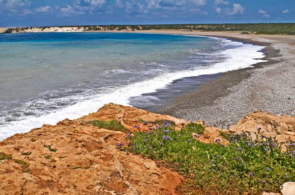 Hermoso Aislado Lara Bay Beach Área Conservación Akamas Paphos Chipre — Foto de Stock