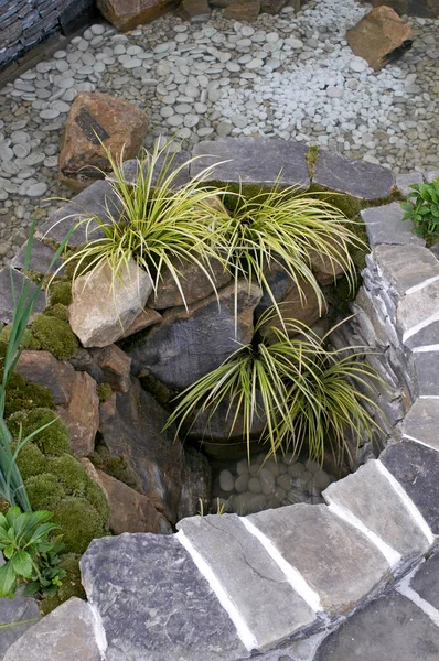 Ornamental Grasses Decorative Stone Setting — Stock Photo, Image