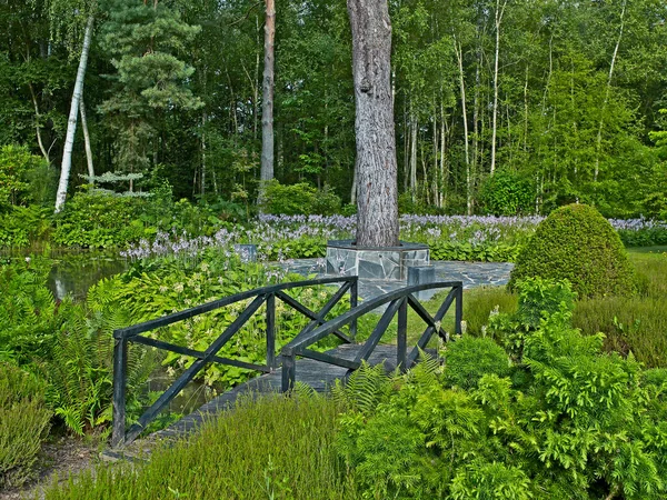 Ponte Sobre Riacho Jardim Floresta Francesa Arboreto — Fotografia de Stock