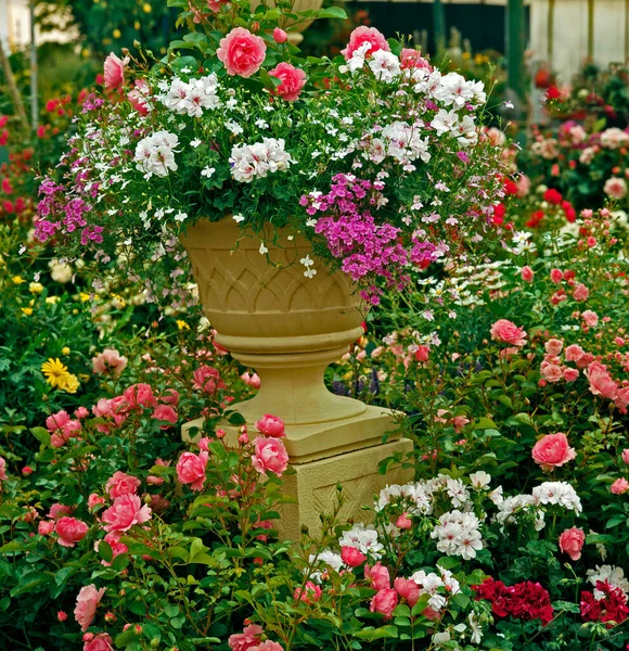 Large Colourful Flower Container Impressive Display Mixed Planting — Stock Photo, Image