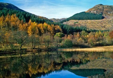 Peaceful Autumn scene of the Scottish landscape in the Trossachs near Loch Lomond with river and colourful forests clipart