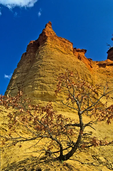 Las Canteras Ochre Roussilon Luberon Provence Francia Con Árbol Primer —  Fotos de Stock