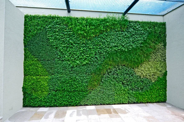 Mur Vertical Aux Herbes Faisant Une Entrée Attrayante Unique — Photo