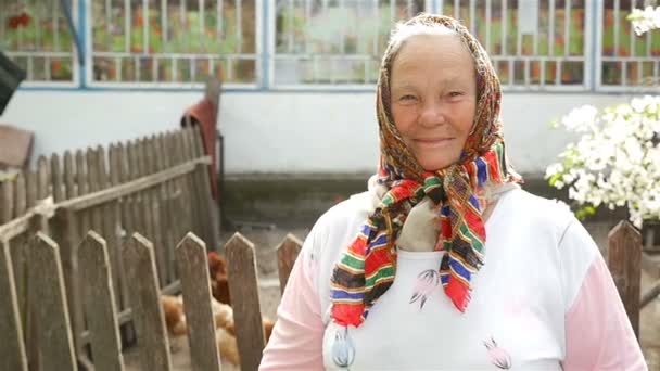 La nonna in un posto rurale mostra un gesto tutto ok. Sparatoria ritardata. Terreni agricoli — Video Stock