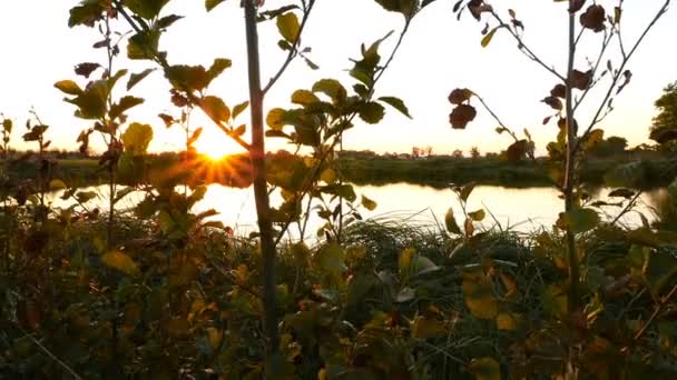 Hermosa puesta de sol junto al lago. La cámara se levanta. Movimiento lento — Vídeo de stock
