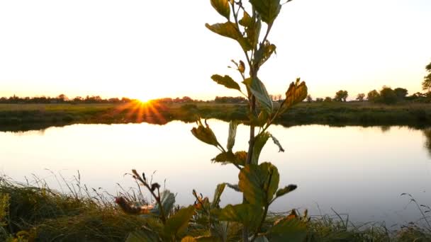 Hermoso lago en el fondo de la puesta del sol. La cámara se cae. Moción lenta — Vídeos de Stock