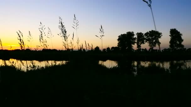Crepúsculo cerca del lago. Hermoso atardecer. La cámara se mueve más allá del césped alto — Vídeo de stock