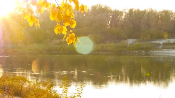 Gyönyörű és festői folyóra. A víz gyors áramlását. Őszi idő. — Stock videók
