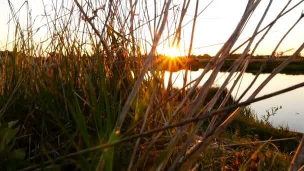 Un lago bellissimo e selvaggio all'alba. Bellissimo posto. Macchina fotografica va su — Video Stock