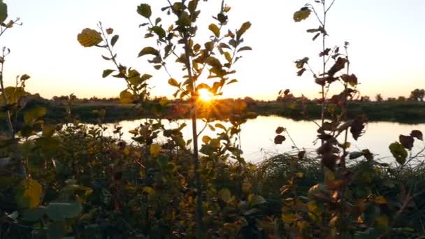 美丽的日落, 风景如画的湖泊。照相机与太阳平行移动 — 图库视频影像