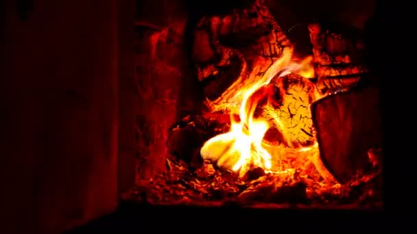 The firewood is burning in the fireplace. beautiful glow — Stock Video