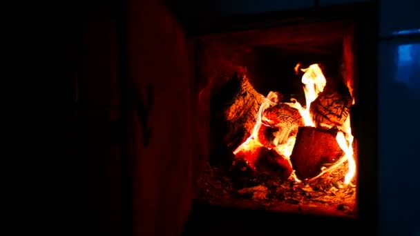 Het hout in de open haard wordt verbrand. Mooie vlam — Stockvideo