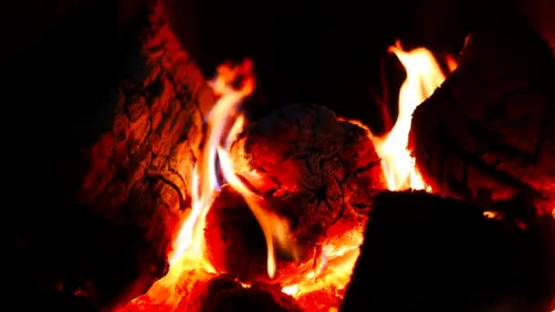 Burning wood in the fireplace. Close-up. Beautiful flame — Stock Video