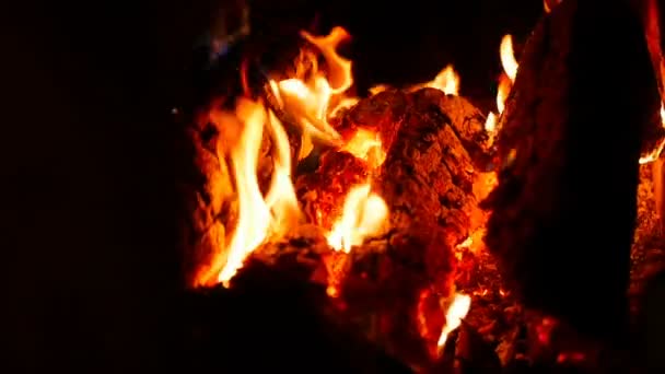 Feu dans la cheminée. brûler du bois de chauffage. Au ralenti. Gros plan — Video