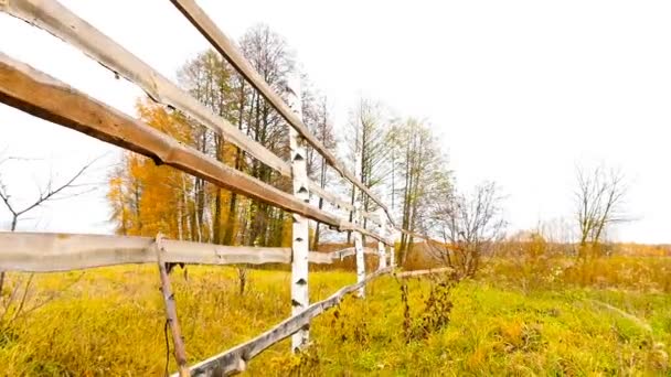Όμορφη φθινοπωρινή πεδίο. Ξύλινο φράχτη. Κάμερα κινείται προς τα εμπρός — Αρχείο Βίντεο