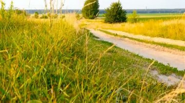 Alanında uzun ve dolambaçlı bir yol. Güzel alan. Güzel manzara. Kamera kadar gider