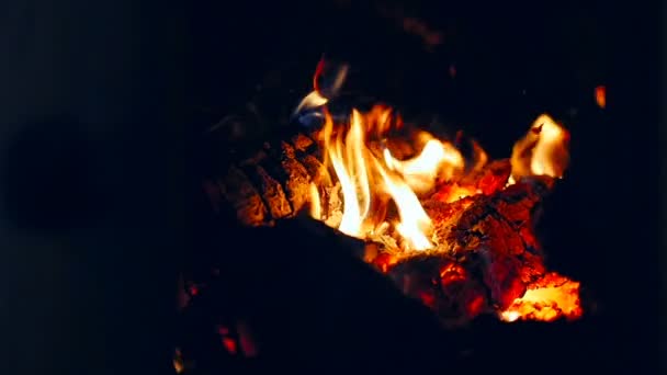 一个美丽的燃烧篝火。慢动作 — 图库视频影像