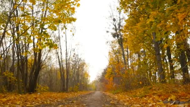 Bellissimo paesaggio autunnale. Camera si sposta a sinistra . — Video Stock