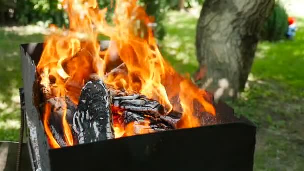 美丽的火焰。燃烧木材烧烤。慢动作 — 图库视频影像