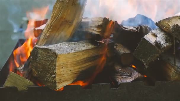 Палаючі дубові дрова. Крупним планом. Повільний рух — стокове відео