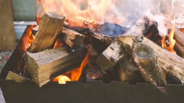 Hořící dřevo. Krásná kouř. Zpomalený pohyb. Detail — Stock video