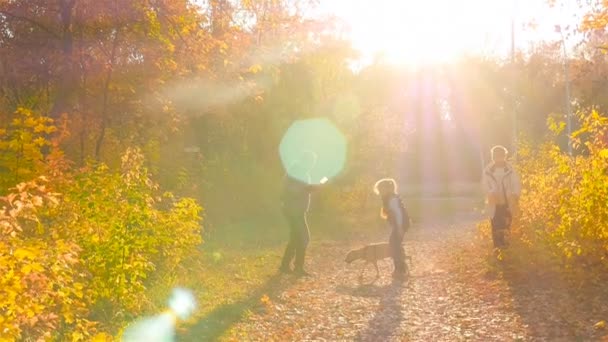 Ucrania, Kiev. 10.10.18 Parque "Amistad de los Pueblos" Un esposo, esposa e hijo son fotografiados en el parque de otoño con un perro. Hermosos rayos de sol brillan en la lente . — Vídeos de Stock