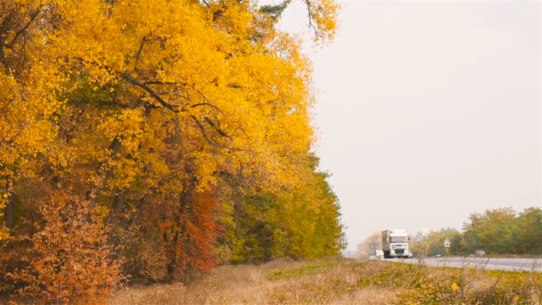 Oekraïne, Kiev. Route E95. 10.10.18 die een grote vrachtwagen langs een prachtige herfst weg in slow motion rijdt. — Stockvideo