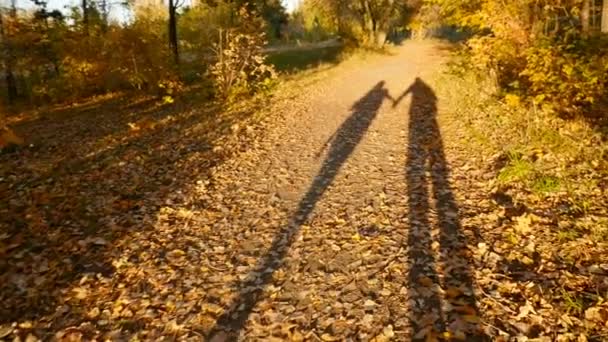 Una pareja amorosa de dos sombras camina a través del bosque de otoño. Movimiento lento — Vídeo de stock