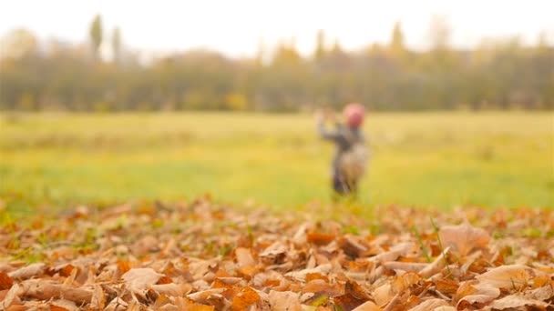 Schöne Herbstlandschaft. Das Mädchen fotografiert den Wald unscharf. Zeitlupe — Stockvideo