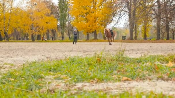 Ucrânia, Kiev. VDNH 27.10.18 O treinador ensina uma menina a montar um cavalo — Vídeo de Stock