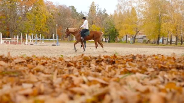 우크라이나, 키예프 Vdnh 10.27.18는 여자 말을 타는 르입니다. 슬로우 모션 — 비디오