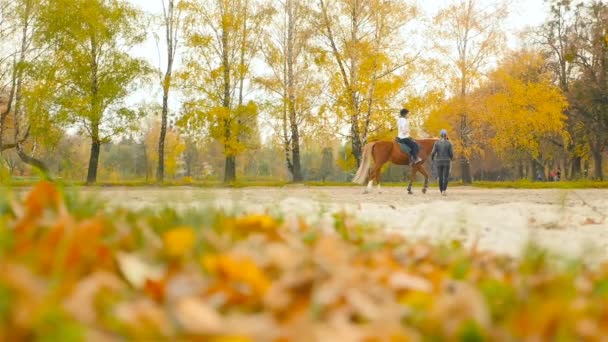 우크라이나, 키예프 Vdnh 10.27.18 승마 슬로우 모션입니다. horsewoman 아름 다운 갈색 말을 타는 — 비디오