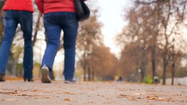 Duas mulheres de vermelho estão andando no parque. Tempo de outono. Movimento lento — Vídeo de Stock