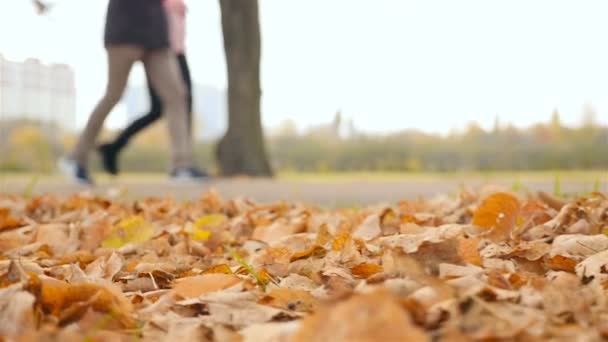 La gente camina por el parque. Primer plano de las piernas. Movimiento lento — Vídeo de stock