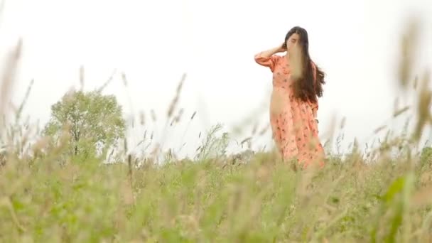 Una chica camina por el campo con un hermoso vestido. Hierba verde. Movimiento lento — Vídeos de Stock