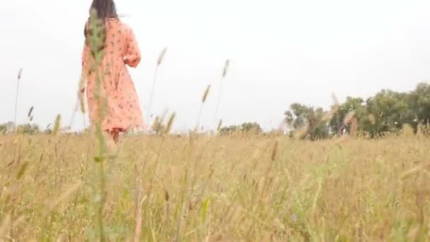 一个女孩在草地上散步 慢动作 — 图库视频影像