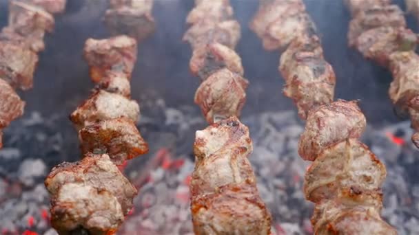 Cozinhar carne nas brasas. Close-up — Vídeo de Stock