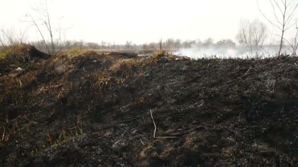 Vuur op het veld. Brandend droog gras. Een hoop rook. Camera in beweging — Stockvideo