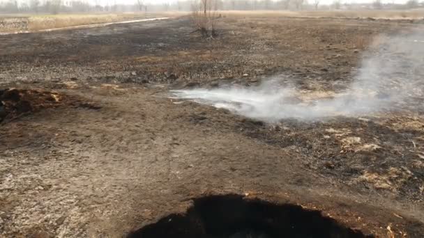 Tűz a pályán. Égett fű. Ökológiai katasztrófa — Stock videók