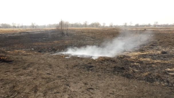 Небрежное обращение с огнем. Сгоревшее поле с травой. Экологическая катастрофа. Много дыма. — стоковое видео